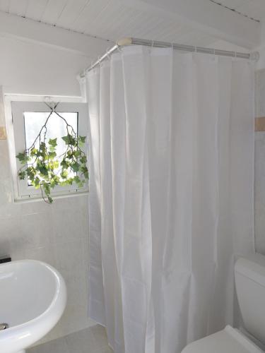 Olive garden room — Unknown City — photo 3