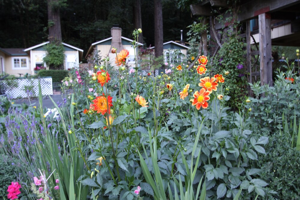 Fern Grove Cottages - photo 91