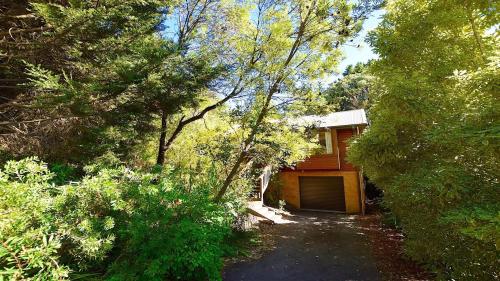 Santosha Glade near the Everglades in Leura, Australia