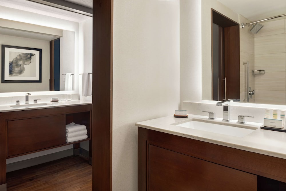 Embassy Suites by Hilton Indianapolis Downtown - photo 34