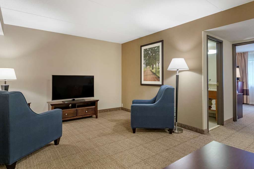 Comfort Inn Lansing West - photo 32