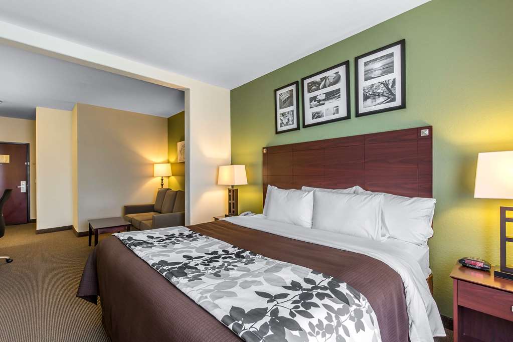 Sleep Inn & Suites Bush Intercontinental IAH East - photo 16