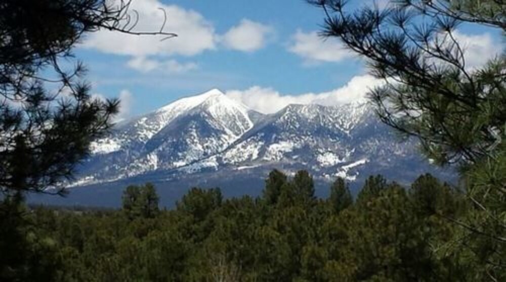 Arizona Mountain Inn and Cabins - photo 275