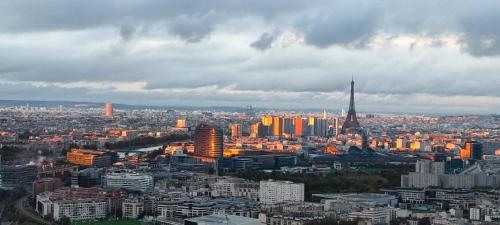 Full Apt Top Floor Eiffel Tower Panoramic View — Issy Les Moulineaux