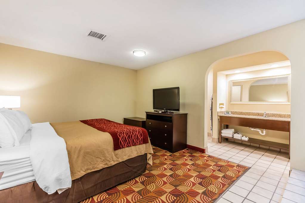 Comfort Inn & Suites Jasper Hwy 78 West - photo 20