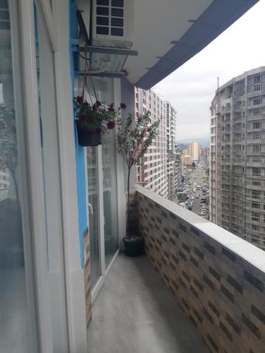 Мате Apartment