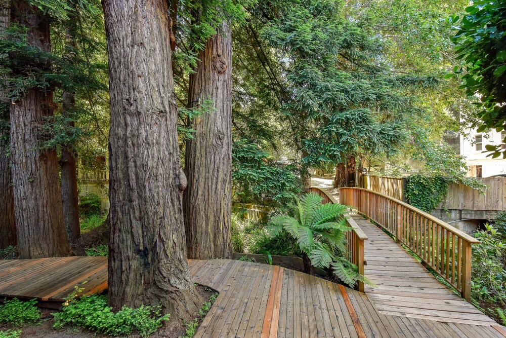 Mill Valley Inn - photo 36