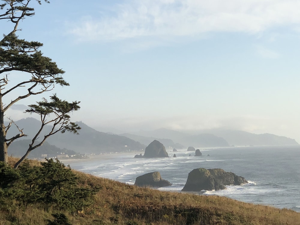 Inn at Haystack Rock - photo 66