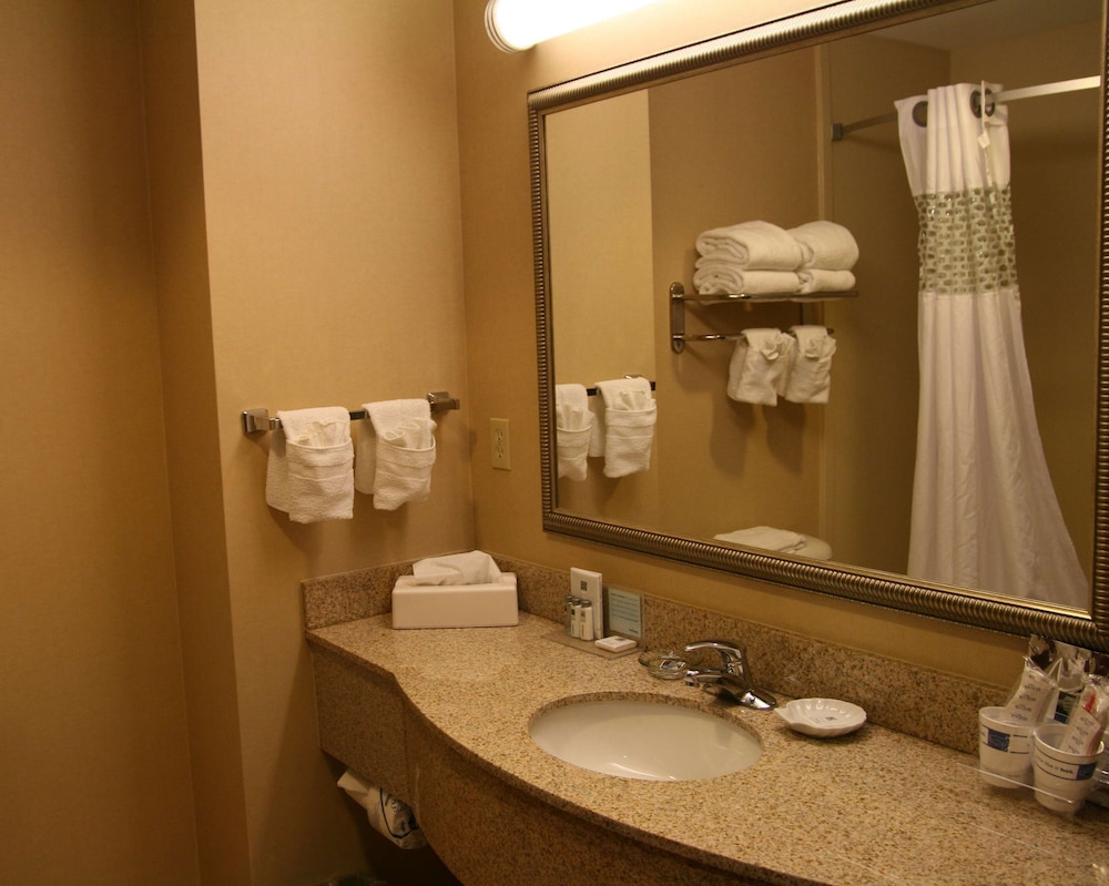 Hampton Inn Martinsburg South Inwood - photo 21