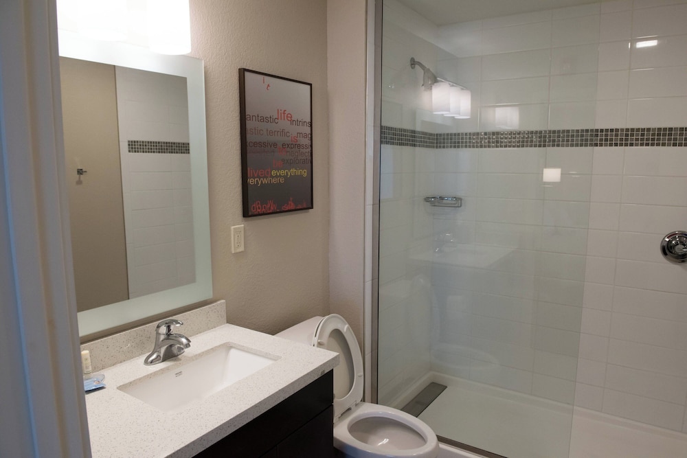 TownePlace Suites by Marriott Battle Creek - photo 20