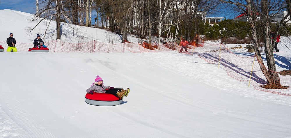 Omni Mount Washington Resort & Spa - photo 85