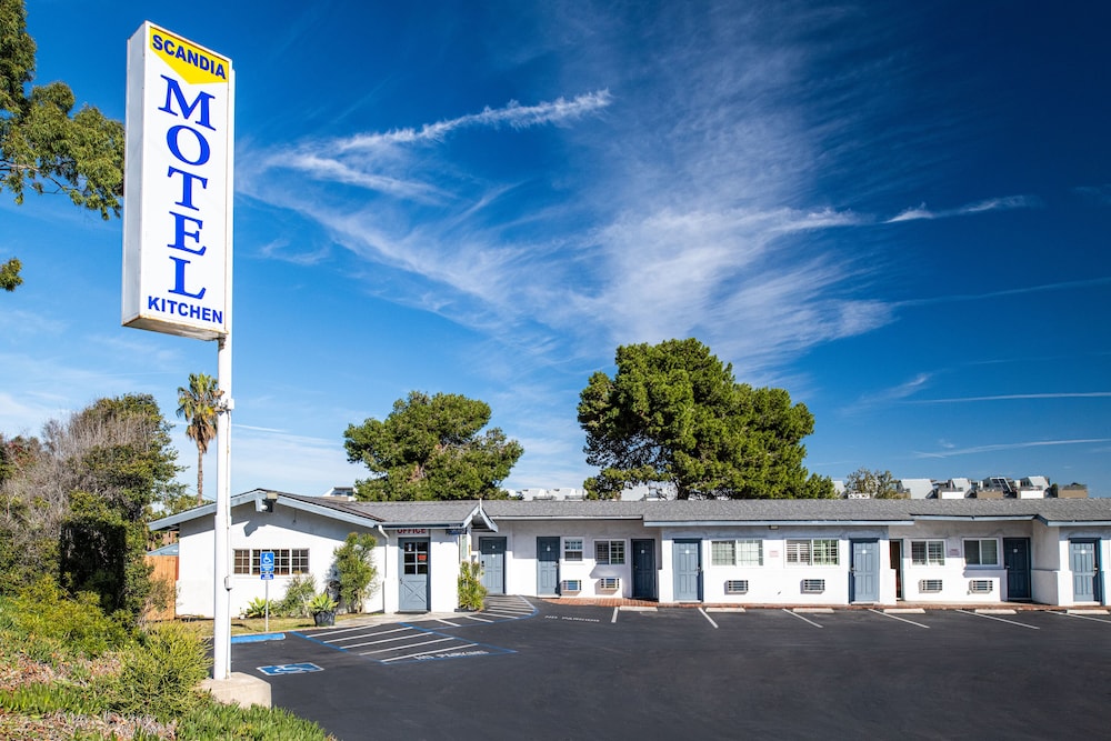 Scandia Motel - photo 21