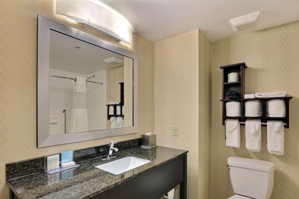 Hampton Inn Savannah I 95 Richmond Hill - photo 5