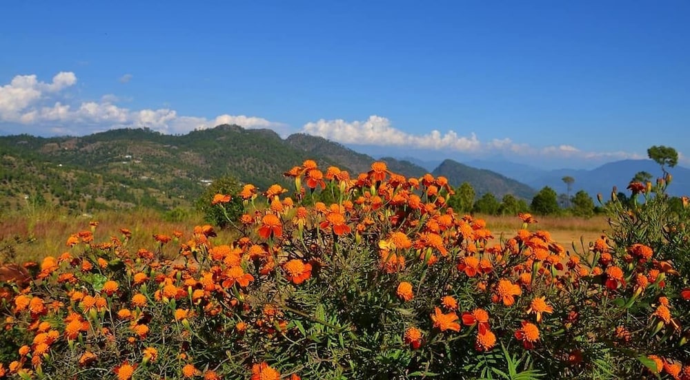 Hardik Resort in Pithoragarh, India