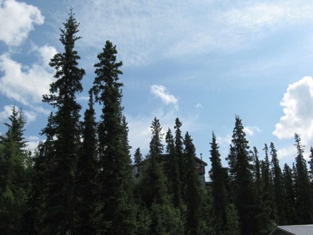 Denali Perch Resort - photo 54