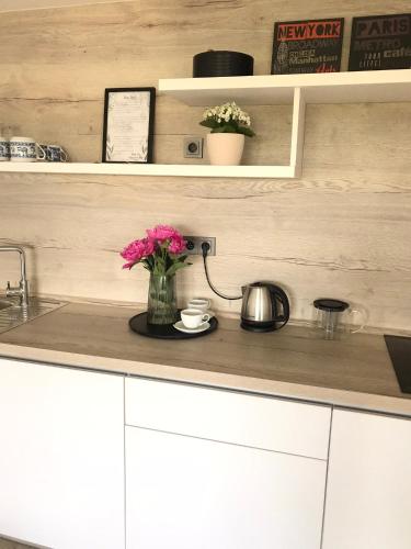 Soukromý pokoj s kuchyní a koupelnou v řadovce in Nove Mesto Na Morave, Czech Republic