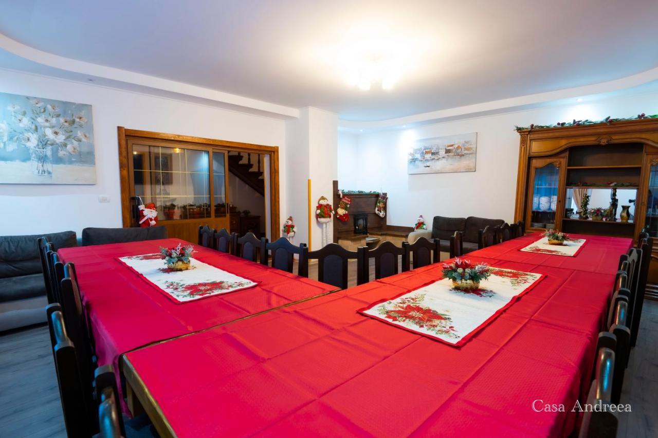 Casa Andreea — Brosteni — photo 4