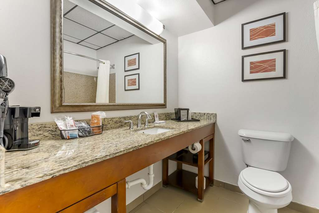 Comfort Inn Brownsville I 40 - photo 23