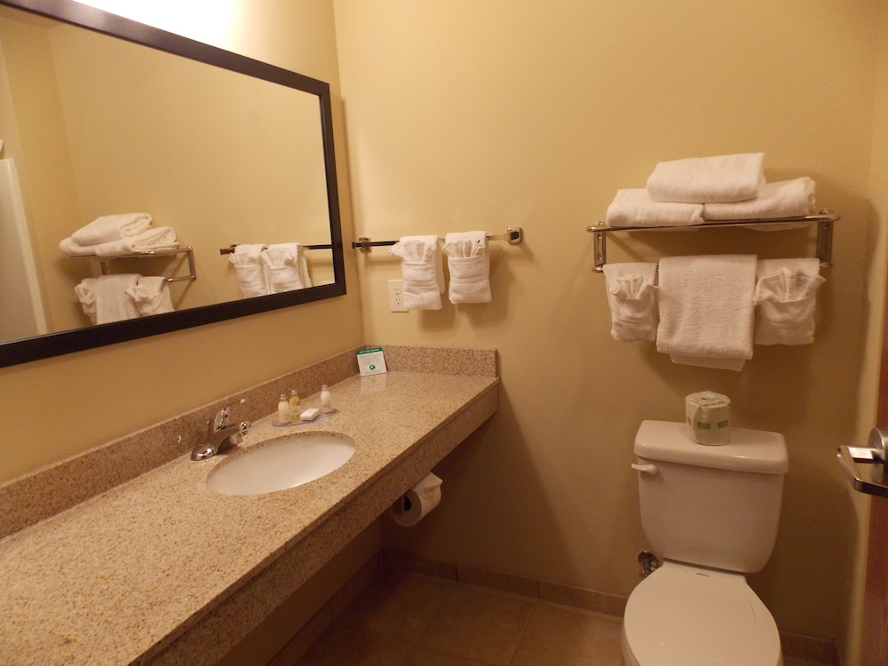 Cobblestone Inn & Suites Eads - photo 26