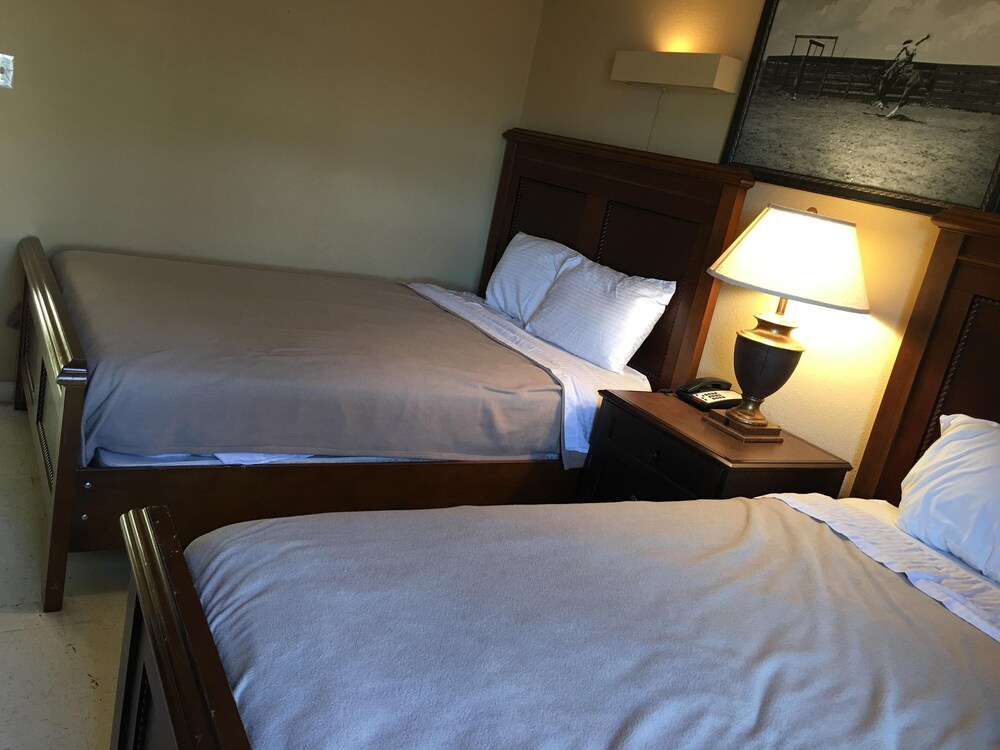 Reddy Inn and Suites - photo 21