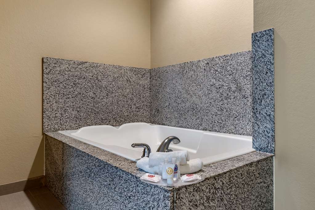 Comfort Suites Biloxi Ocean Springs - photo 12