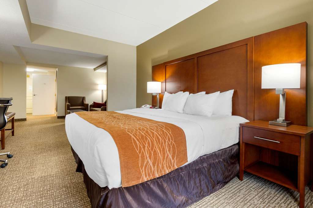 Comfort Inn & Suites Cordele - photo 19