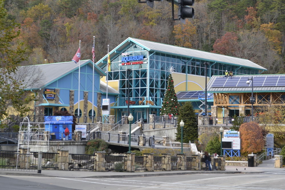 Spacious Resort Log Cabin Easy Drive Hot Tub Arcade Gameroom Mountain Vibe in Gatlinburg, United States