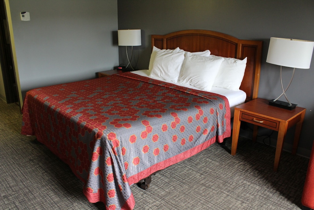 American Inn and Suites Ionia - photo 20