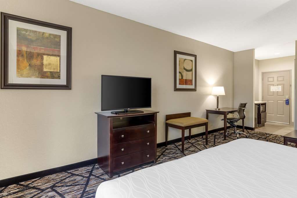 Best Western Plus Hobby Airport Inn & Suites - photo 18