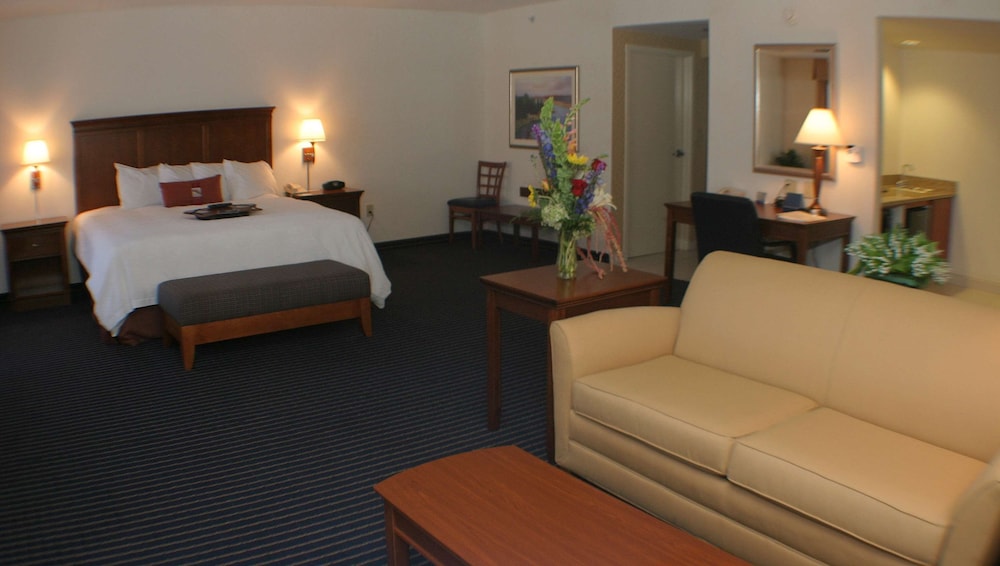 Hampton Inn Farmville VA - photo 12