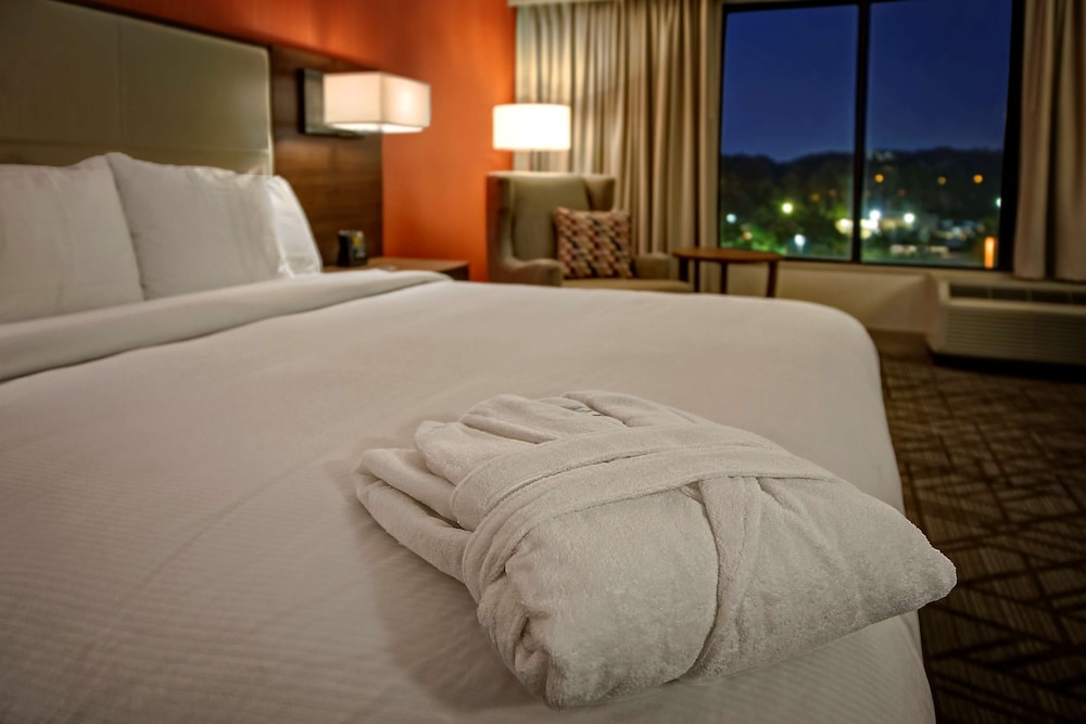 Hilton Knoxville Airport - photo 10