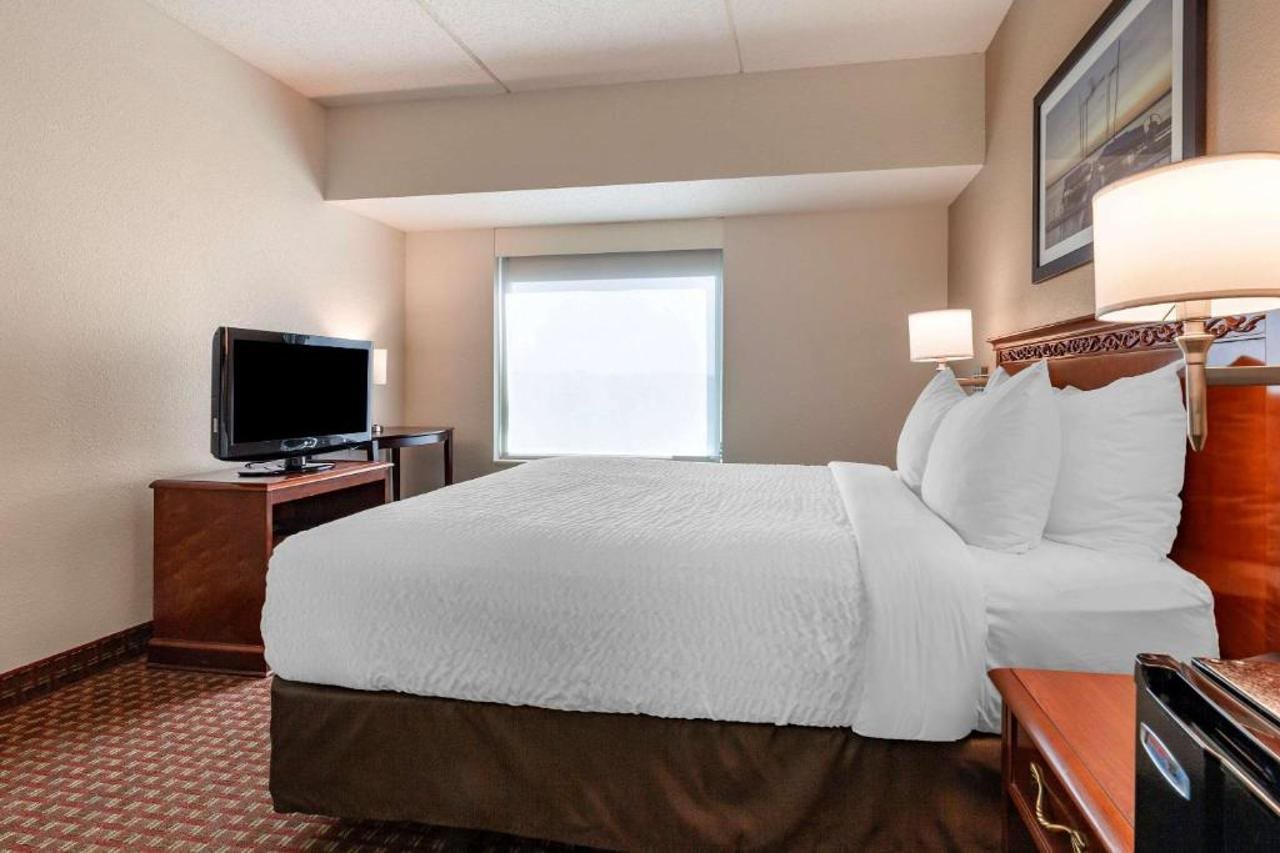 Clarion Suites Central - photo 5