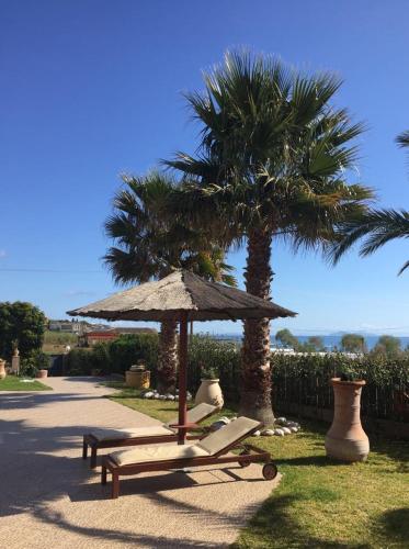 Villa AnnaMaria — Skala — photo 5