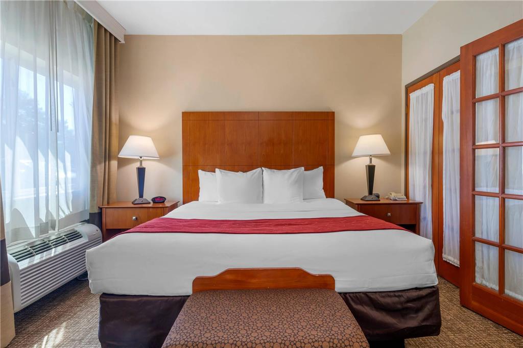 Comfort Suites North Dallas - photo 13
