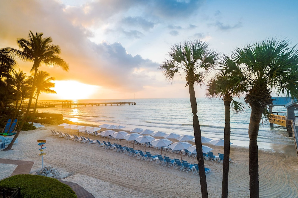 The Reach Key West Curio Collection by Hilton - photo 87