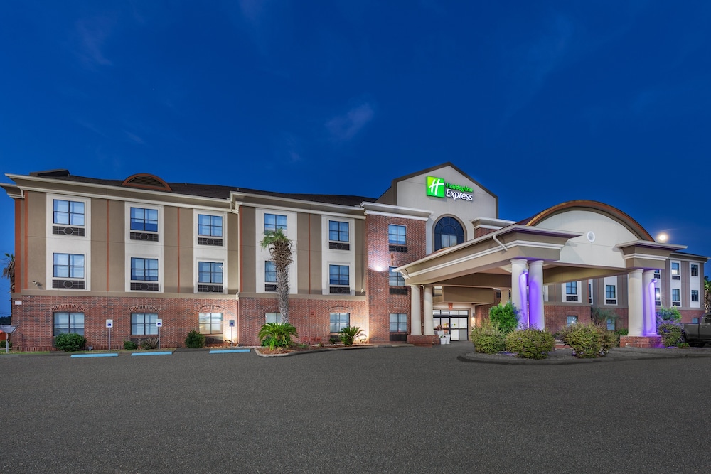 Holiday Inn Express Hotel & Suites Vidor South - photo 54
