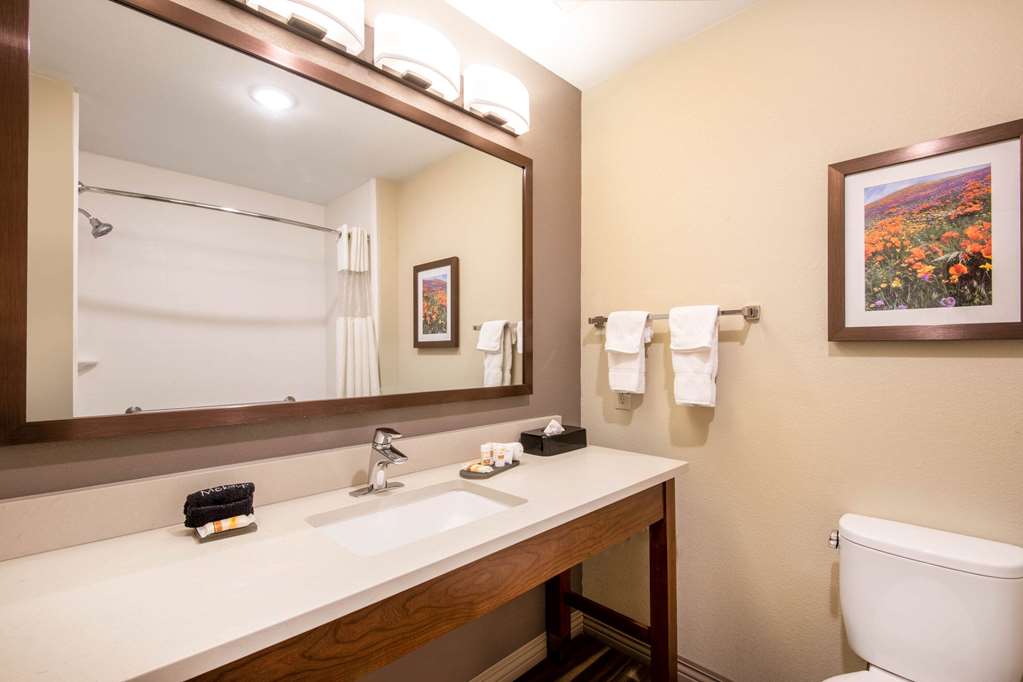 La Quinta Inn & Suites by Wyndham Durango - photo 20