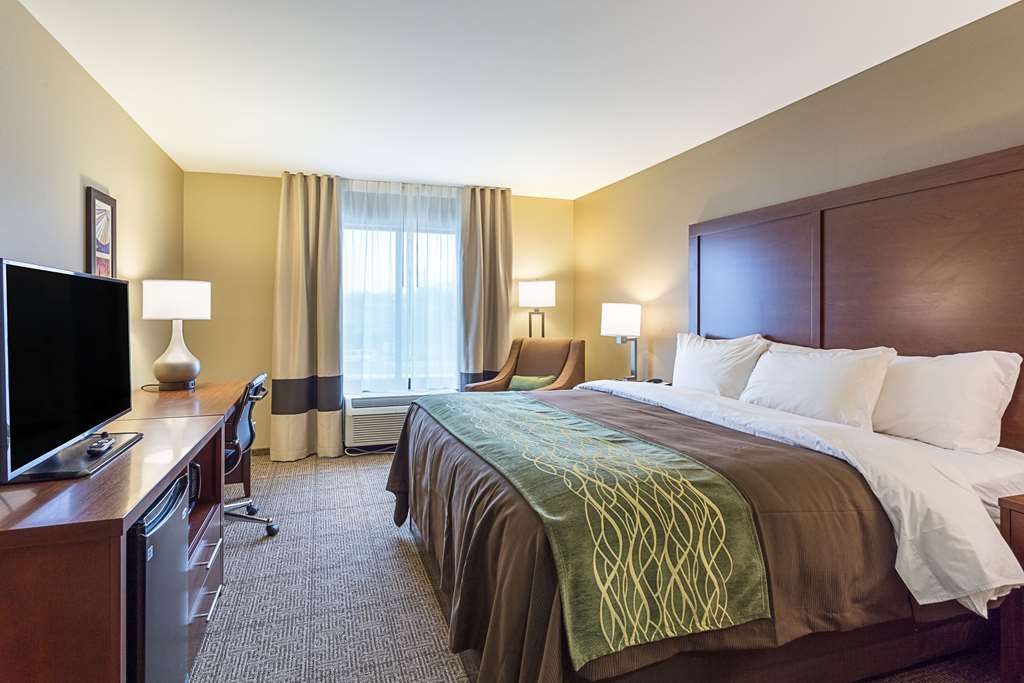Comfort Inn & Suites Zachary - photo 15