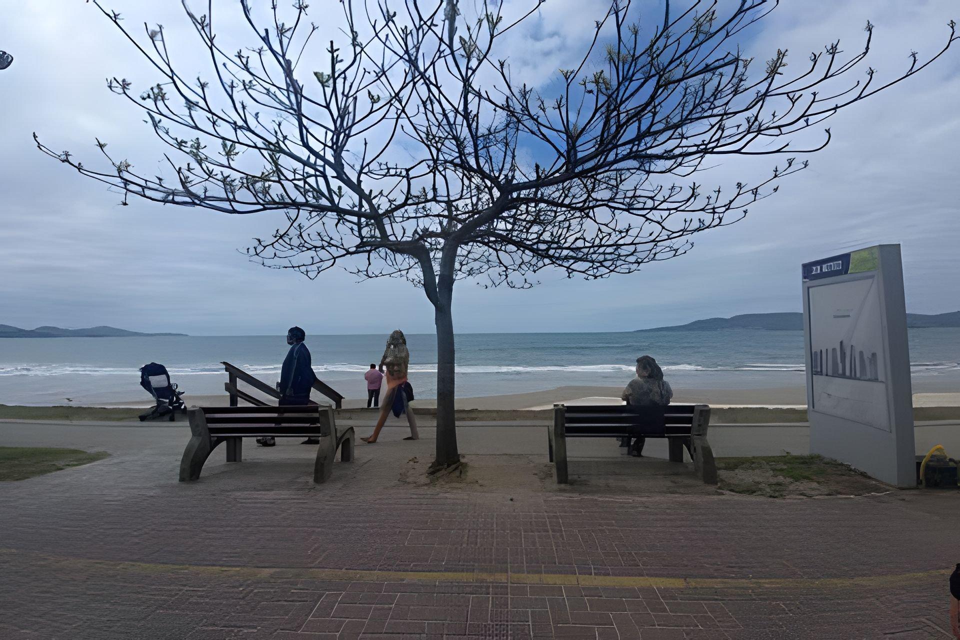 Itapema Meia Praia Sc