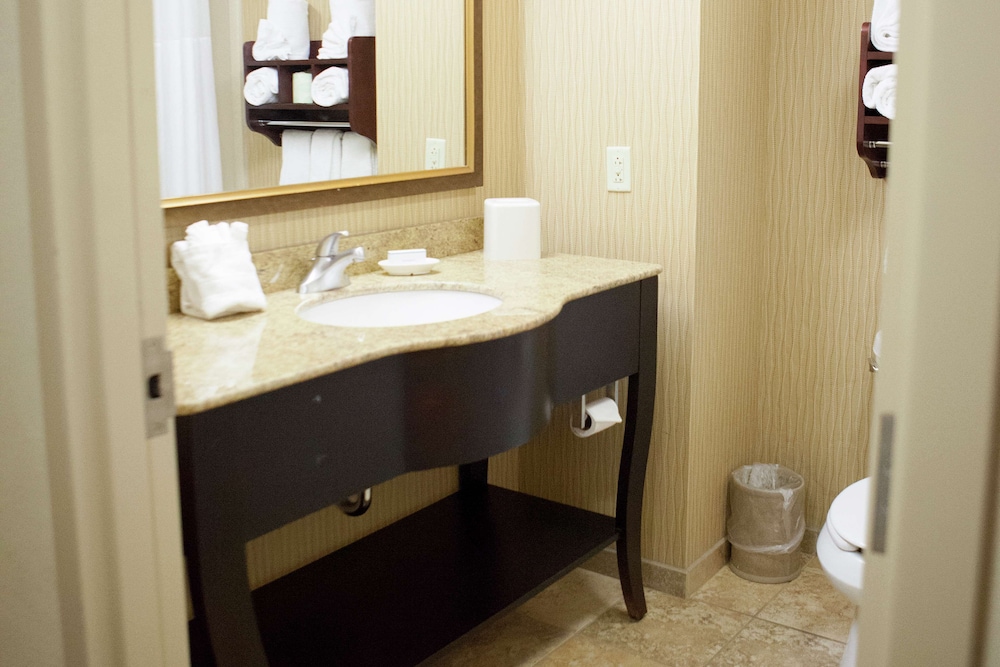 Hampton Inn Rochester Webster - photo 29