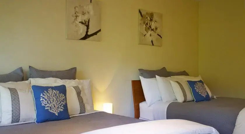 Hotel Playa de Oro - photo 6