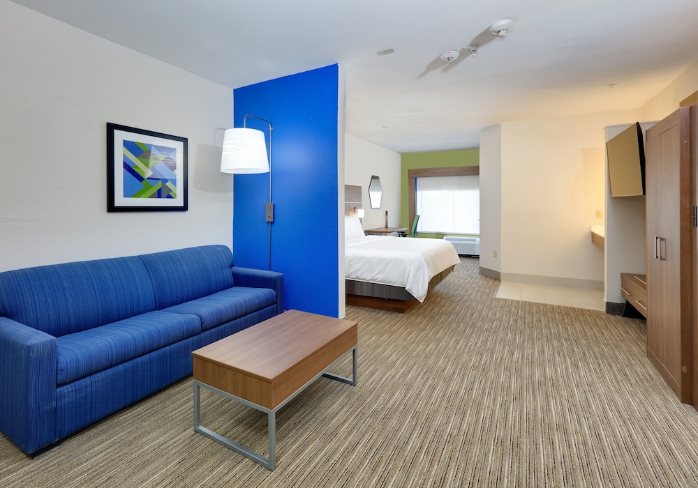 Holiday Inn Express & Suites Round Rock - photo 5
