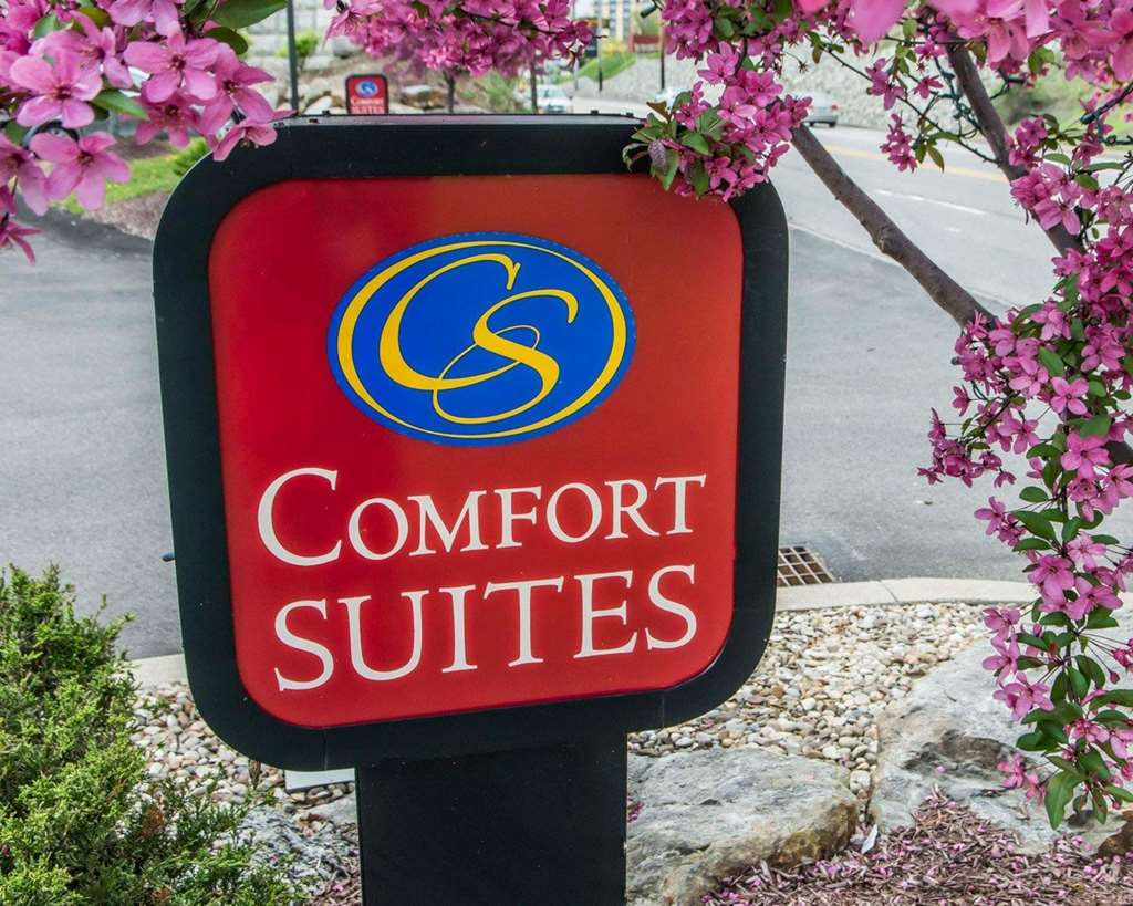Comfort Suites Monroeville Pittsburgh East - photo 4