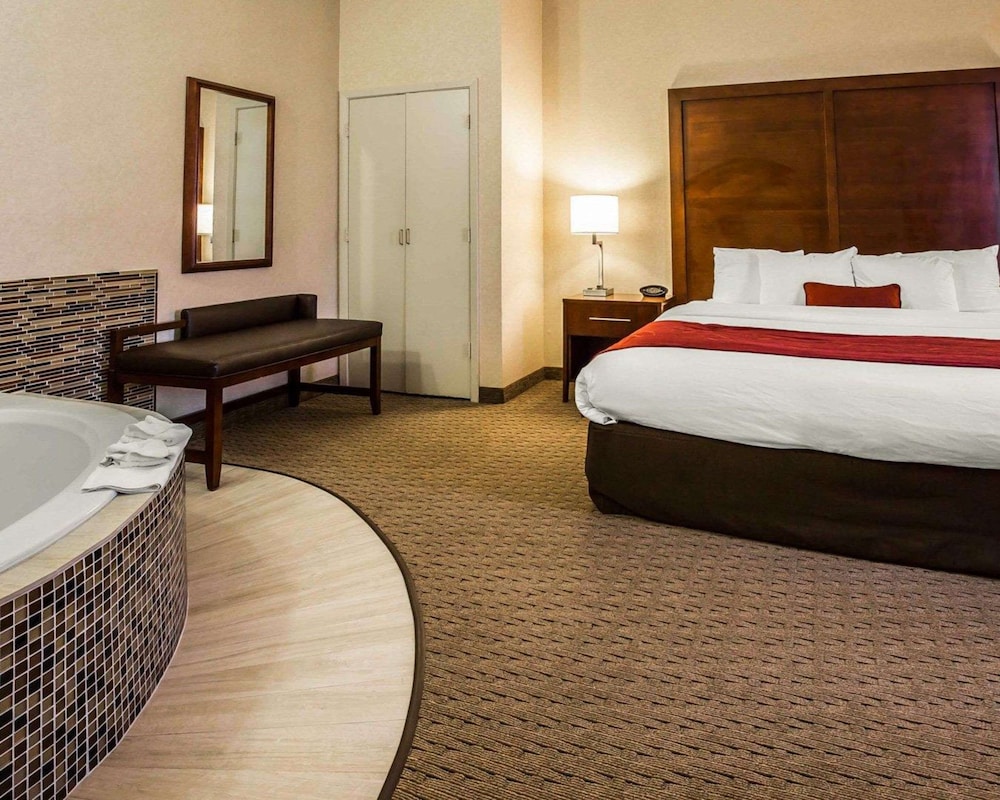 Comfort Suites Stafford Near Sugarland - photo 16