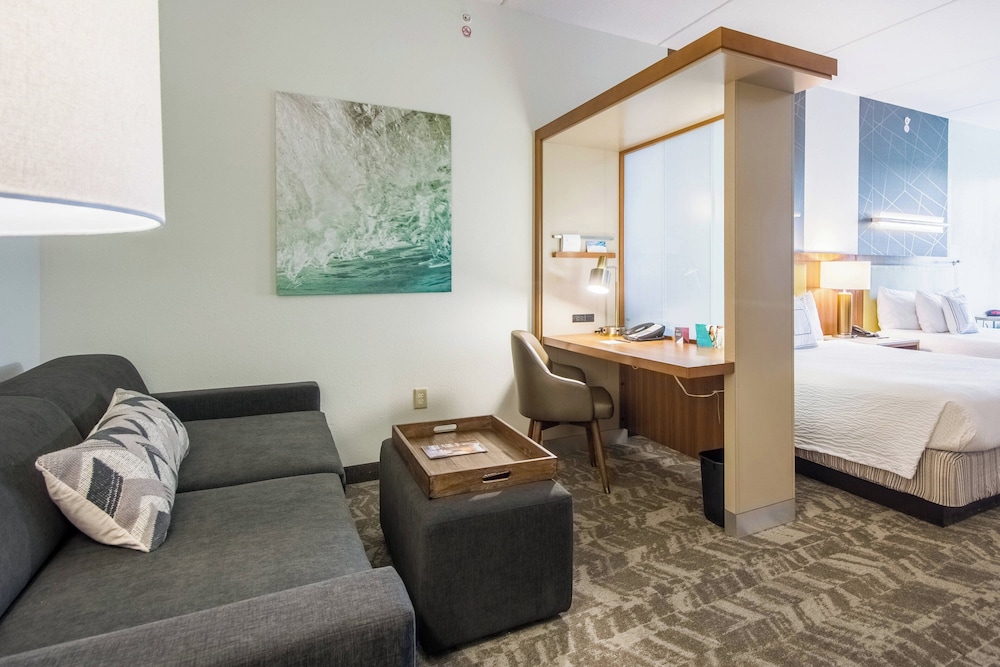 SpringHill Suites by Marriott Tampa North I 75 Tampa Palms - photo 8