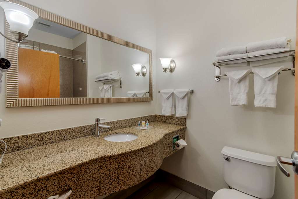 Comfort Suites Stockbridge Atlanta South - photo 9