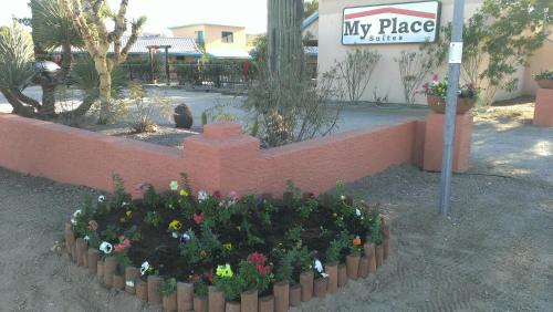 My Place Suites - photo 70