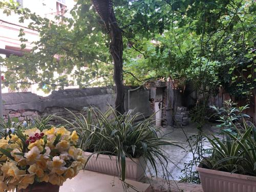Old City Apartment