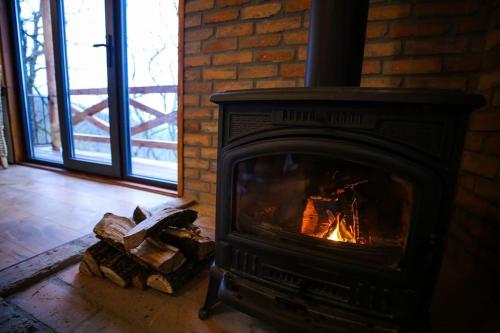 Villa Vejini cabin