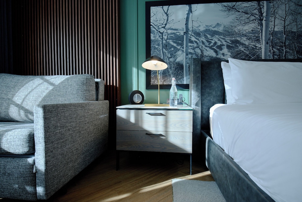 Gravity Haus Vail - photo 37